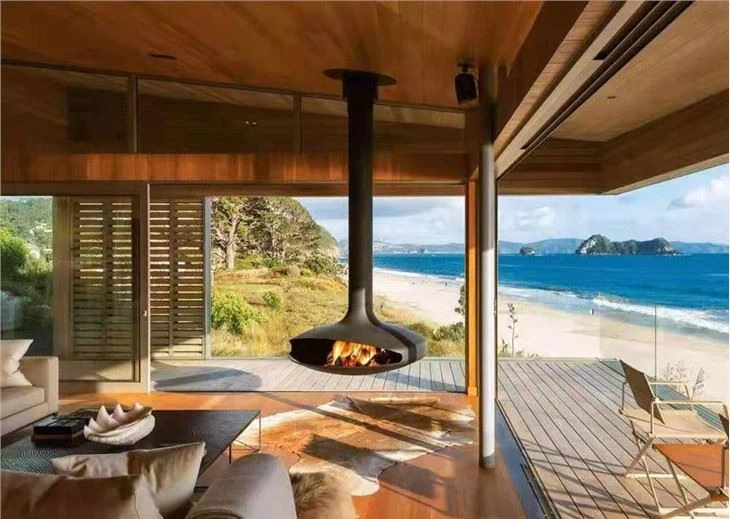 Wood Buring Fireplace Fire Place