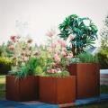 Best Planter