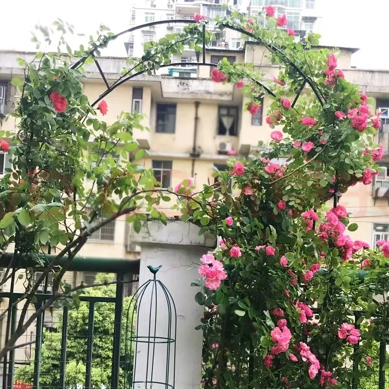 metal gate decoration arch metal gate decoration arch