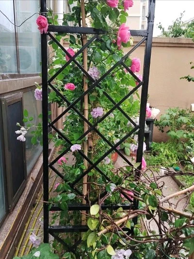 metal garden decoration grape trellis metal garden decoration grape trellis
