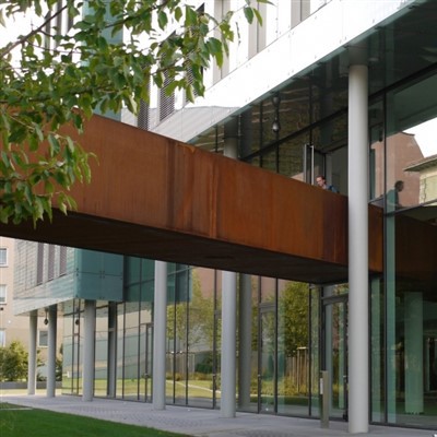 풍화 강철 내식성